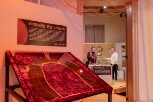 exposicao-tramas-ancestrais-indigenas-museu-mcg-Aline-Jasper-BAIXA_1
