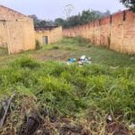 falta de limpeza de terrenos em PG