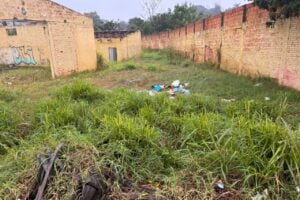 falta de limpeza de terrenos em PG