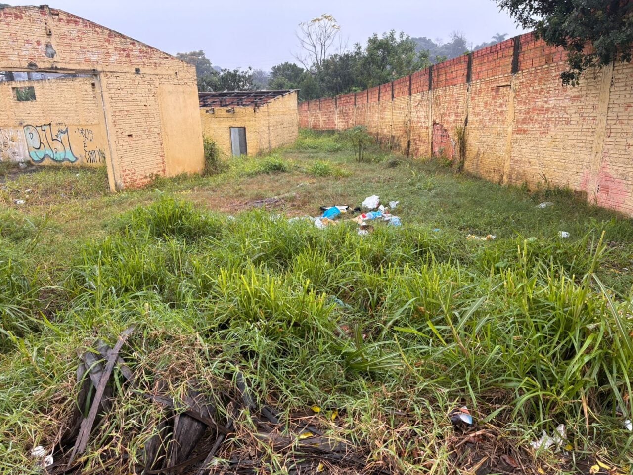 falta de limpeza de terrenos em PG