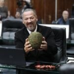 Deputado segura pinha que dá pinhão na ALEP