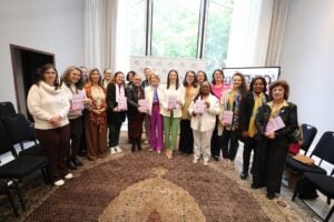 bancada feminina da alep