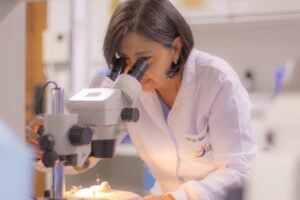 prof-mara-almeida-laboratorio-biologia-evolutiva-nova-especie-besouro-saltador-foto-jessica-natal-13-scaled