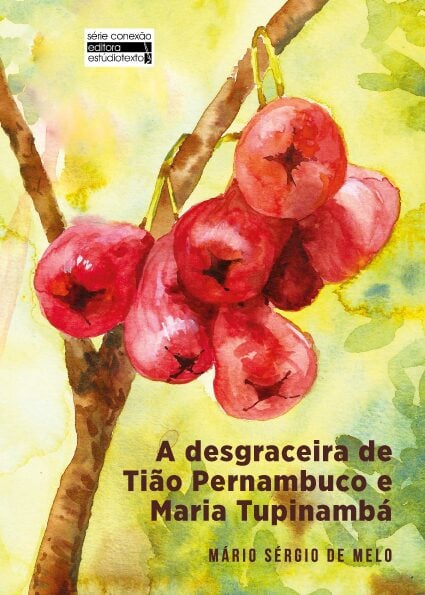 CAPA DESGRACEIRA