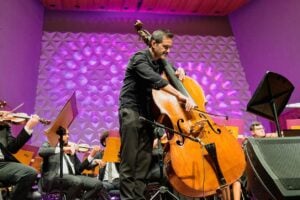 O músico Rodrigo Fávaro em apresentação