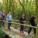 CD_x_caminhada na natureza tibagi_divulgação PMSJP