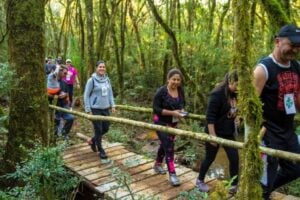 CD_x_caminhada na natureza tibagi_divulgação PMSJP