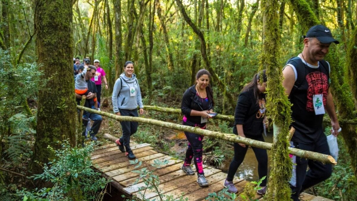 CD_x_caminhada na natureza tibagi_divulgação PMSJP