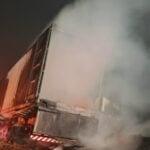 CD_x_incêndio palmeira