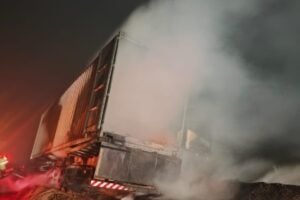 CD_x_incêndio palmeira