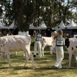Expoleite em Arapoti