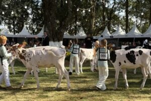 Expoleite em Arapoti