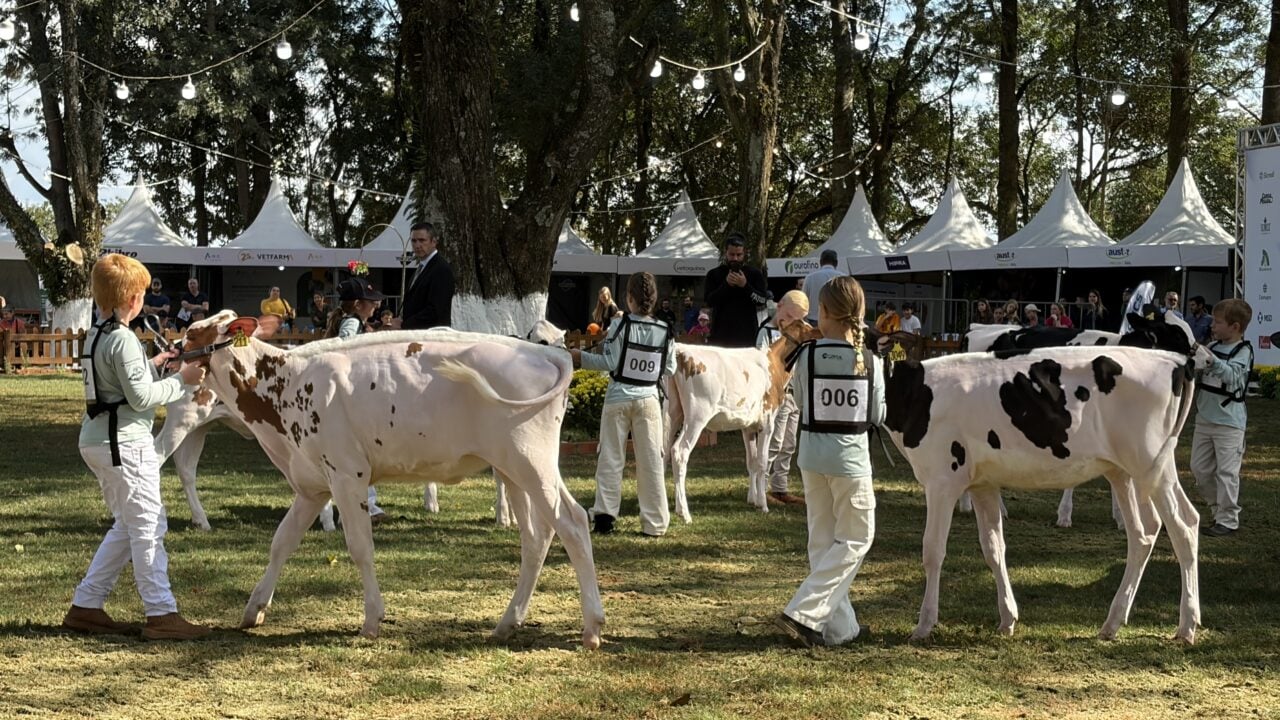 Expoleite em Arapoti