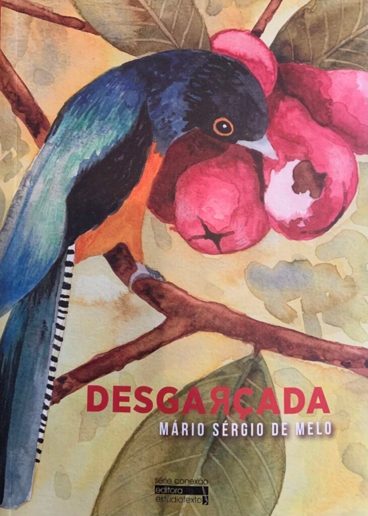 Mário Sérgio Desgarçada