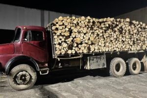 Caminhão carregado com toras de madeiras