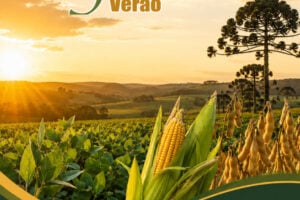 Safra_Verao_2026