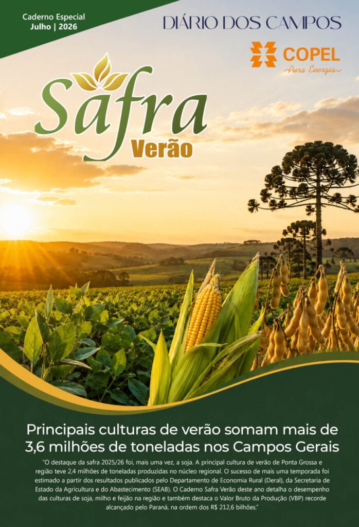 Safra_Verao_2026