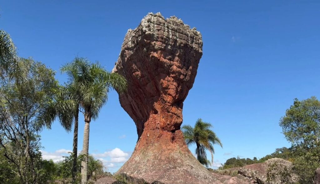Taça de Vila Velha