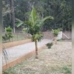 Queda de granizo em Imbituva