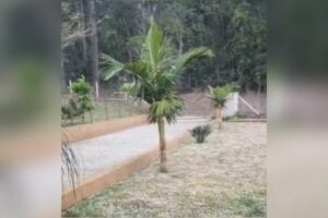 Queda de granizo em Imbituva