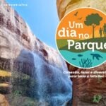 Arte do evento Um Dia no Parque de Jaguariaíva