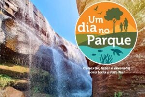 Arte do evento Um Dia no Parque de Jaguariaíva