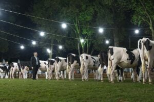 Expoleite