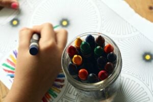 Neuropsicopedagogia em debate