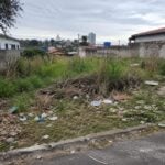 Foto de IA mostra terreno sem limpeza