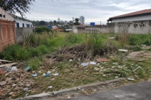 Foto de IA mostra terreno sem limpeza