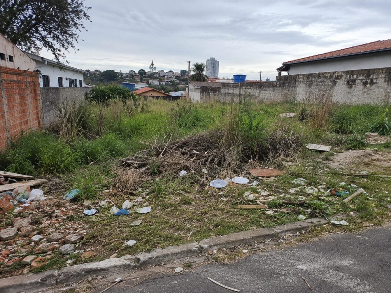Foto de IA mostra terreno sem limpeza