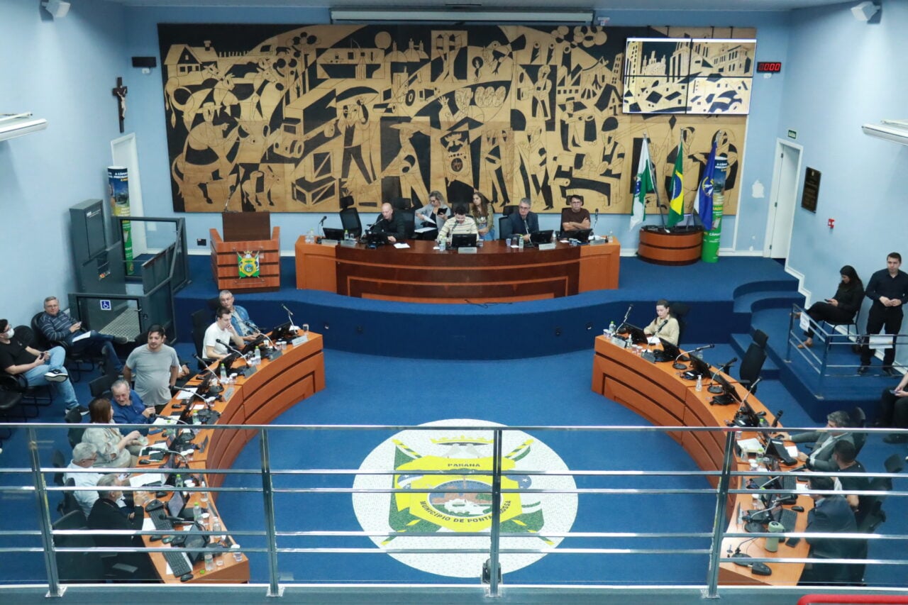 plenario camara 20-07