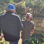 Cumprimento de mandado de prisão preventiva em desfavor de idoso investigado por descumprir medida protetiva de urgência em Palmeira